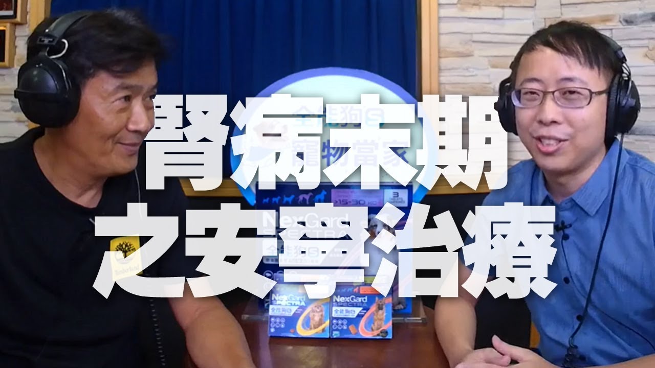 '20.09.14【全能狗S 寵物當家】葉肇晟獸醫師談「毛孩腎病末期之安寧治療」
