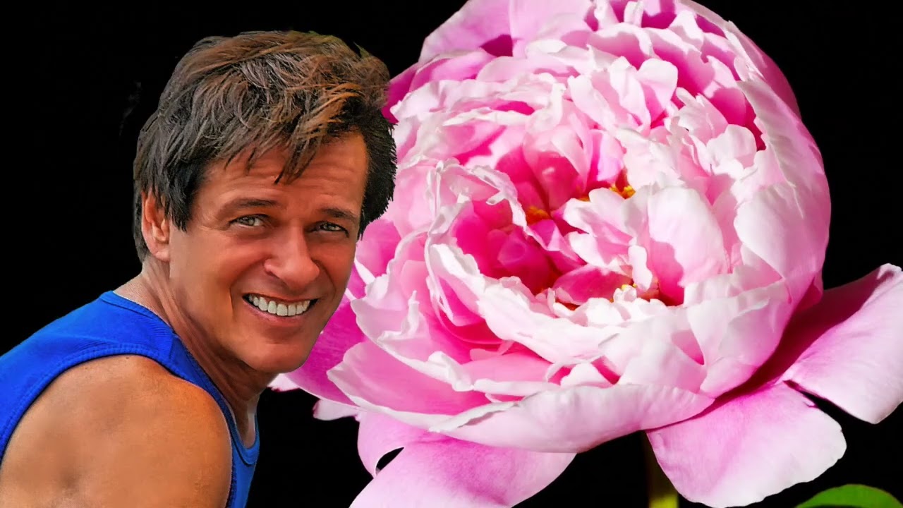 I LOVED YOU sung by Ed Rambeau