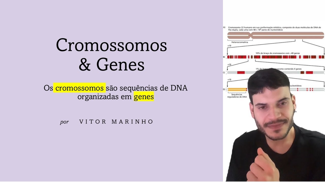 Cromossomos e Genes | Estrutura de um gene | Elementos regulat&oacute;rios  (PARTE I) 