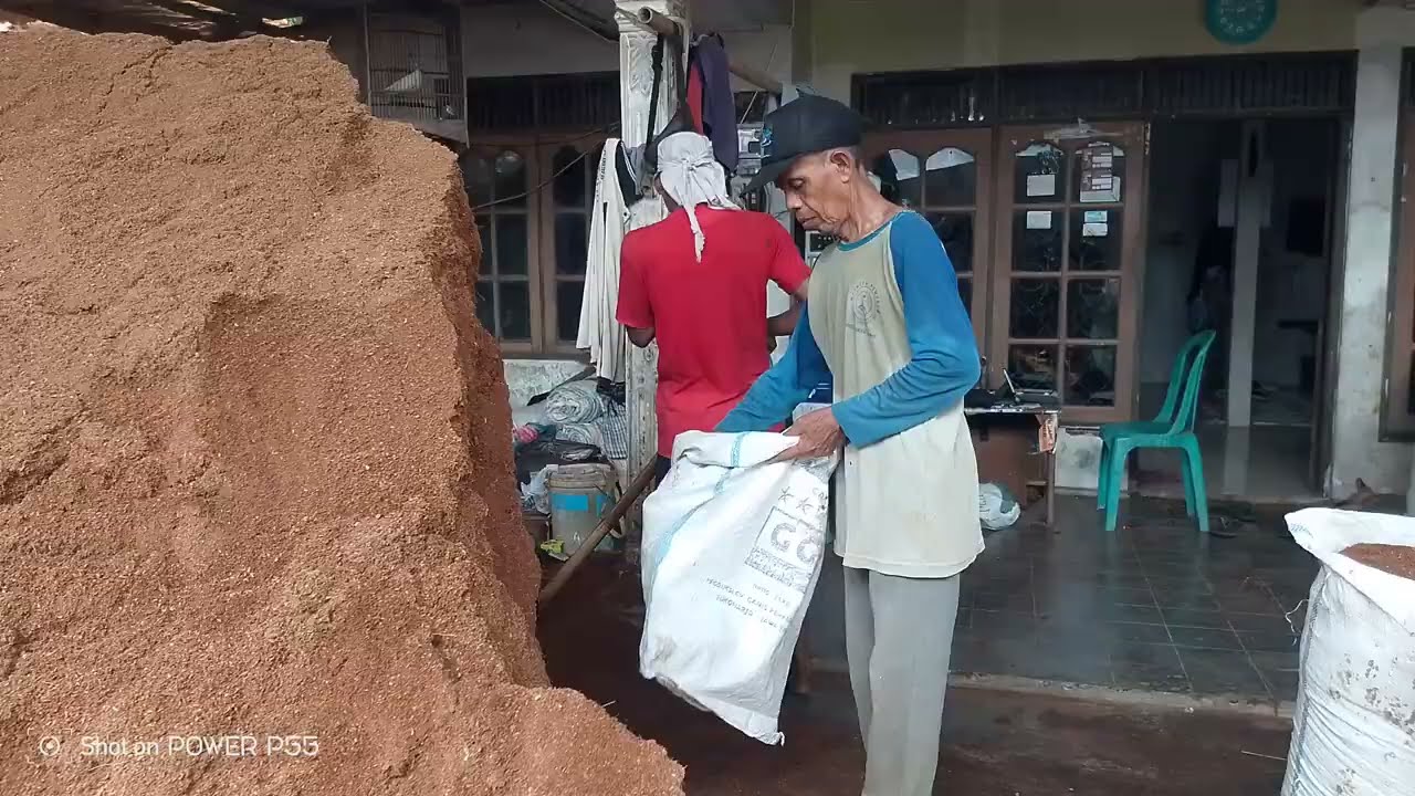 MANFAAT KOKOPIT BUAT TANAMAN DAN PROSES PEMBUATANYA