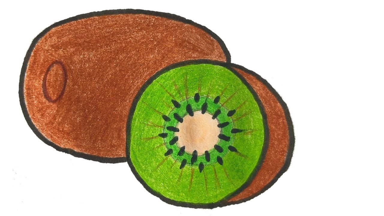 How to draw a Kiwi || Kiwi drawing step by step || Drawing a Kiwi ||
