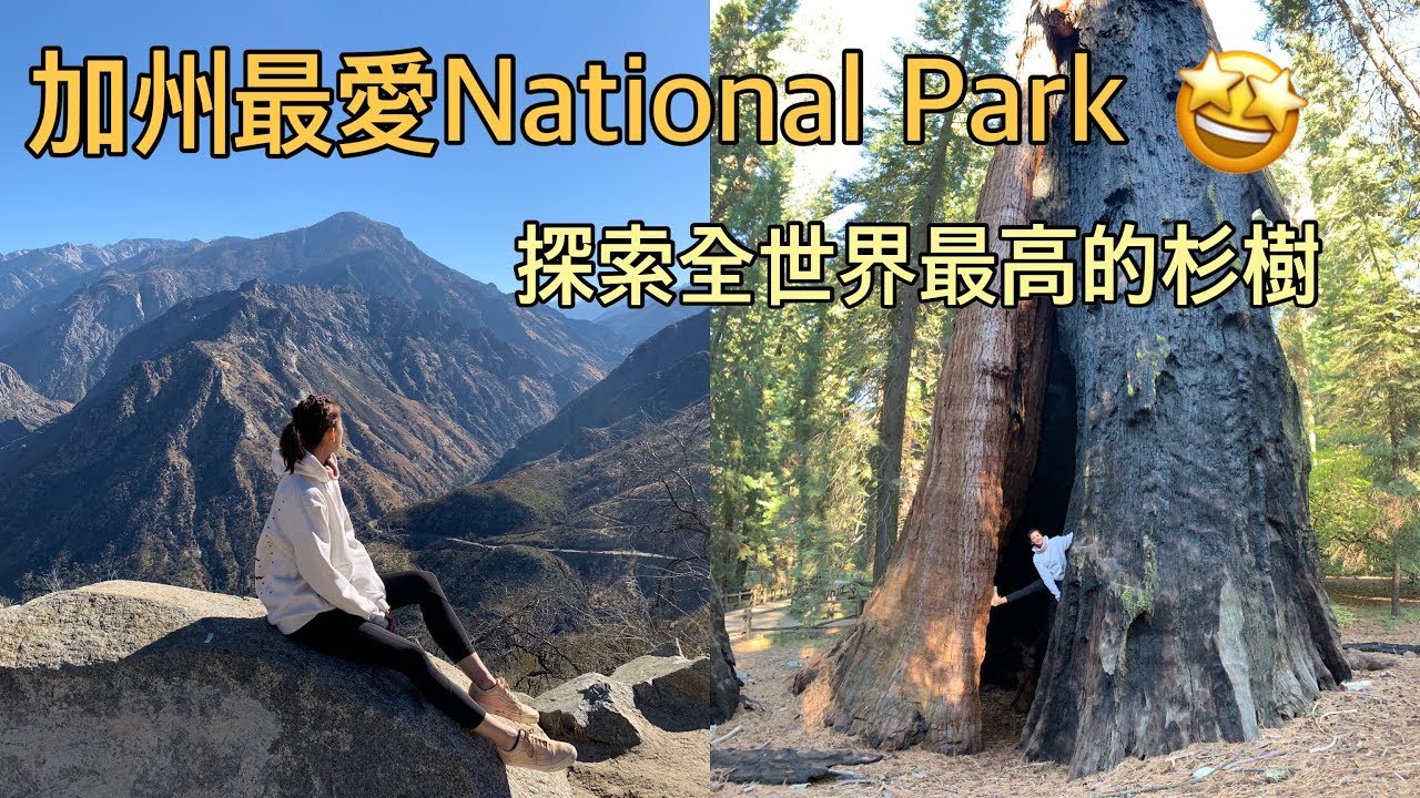 一秒愛上San Fransisco！加州National Park 畢生難忘！