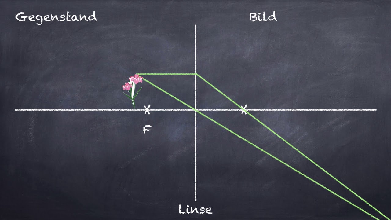 Tutorial Lupe