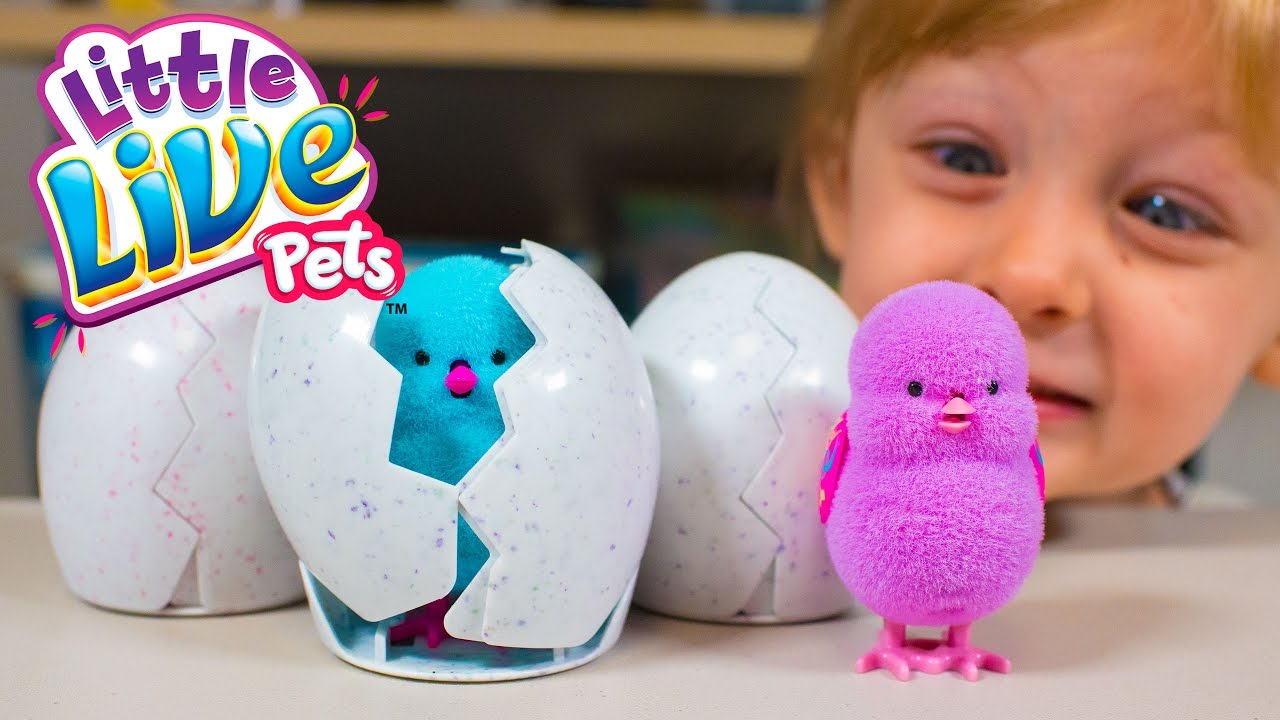 NEW Little Live Pets Surprise Chick Surprise Eggs Toys for Girls Moose Toys Kinder Playtime