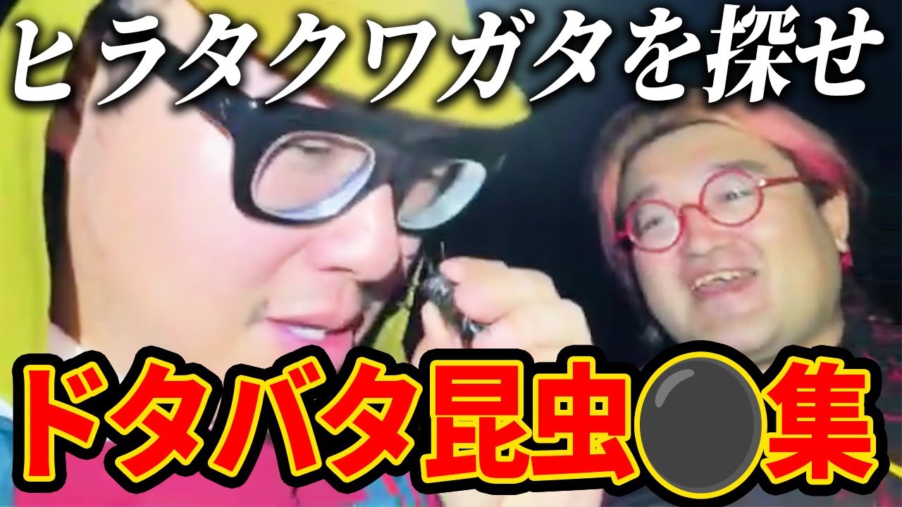 【昆虫⚫︎集】ヒラタクワガタを探せ！！with野田草履＆ちょびつき雨宮