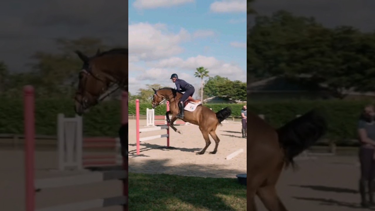 We love a good gymnastic exercise 👌 #EquestrianMasterclass #HorseJumping #NoelleFloyd