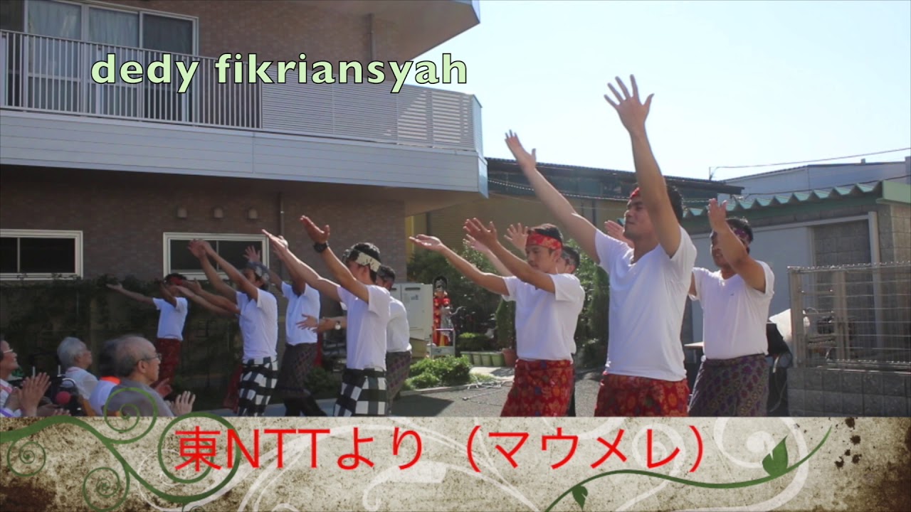 tarian maumere viral dijepang