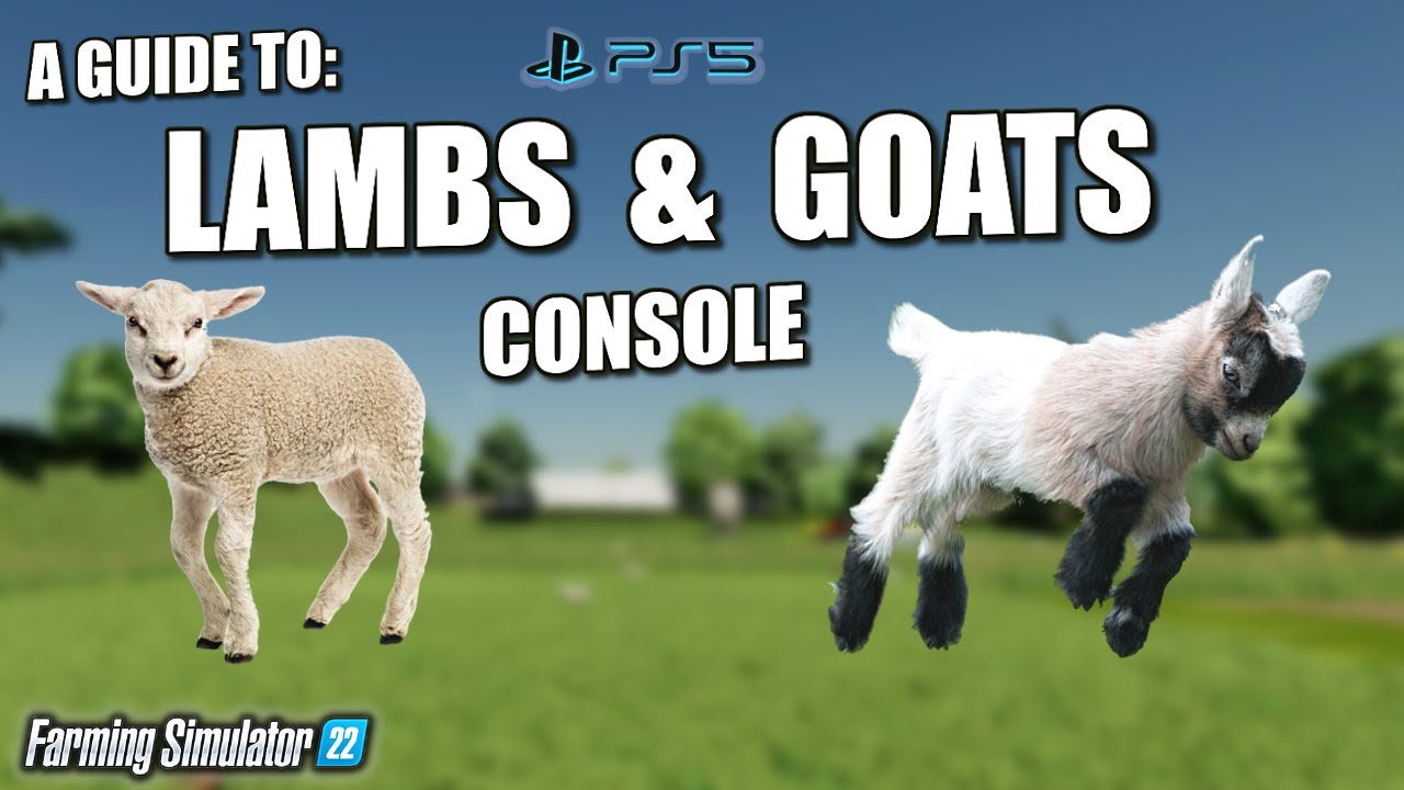 A Guide To: Lambs & Goats on Console - Ballyspring - Farming Simulator 22 - PS5.
