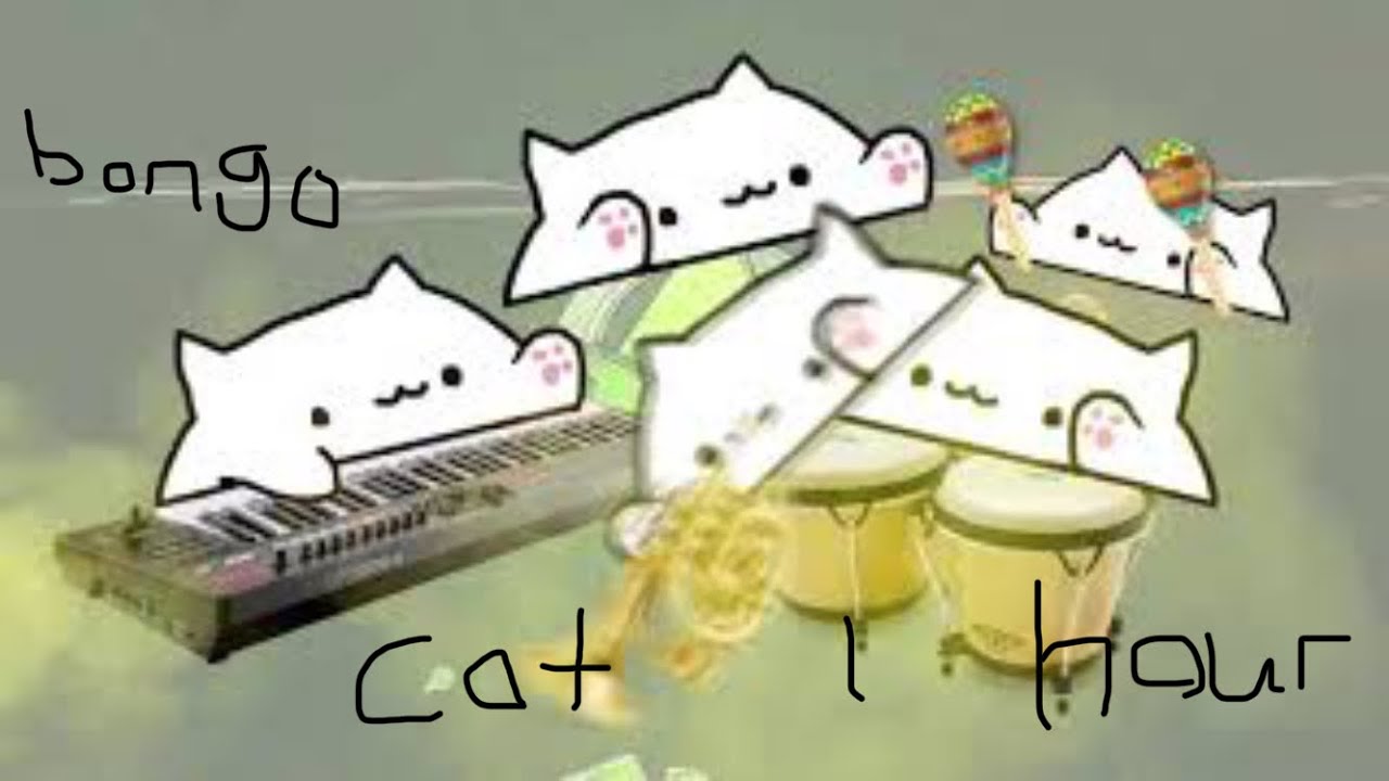 Bongo Cat Meme (1 hour)