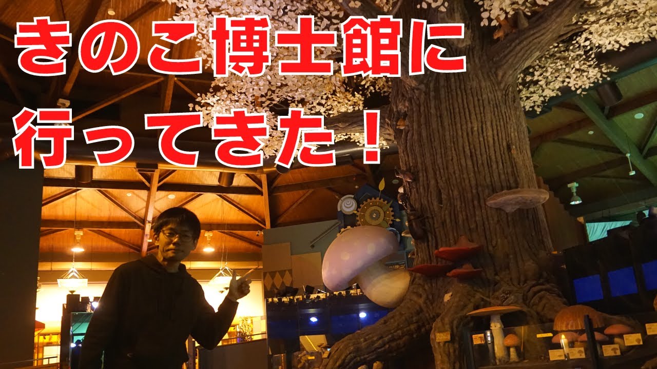 写真映え✨きのこ博士館に行ってきた！【茨城県の観光スポット】