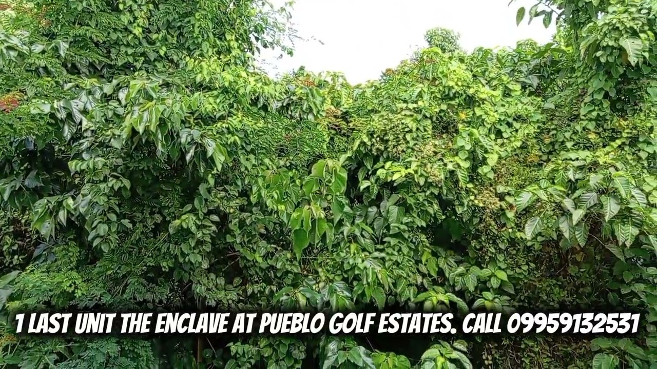 1 Last Unit the Enclave at Pueblo Golf Estates Uptown. For viewing please call or text 0995 913 2531