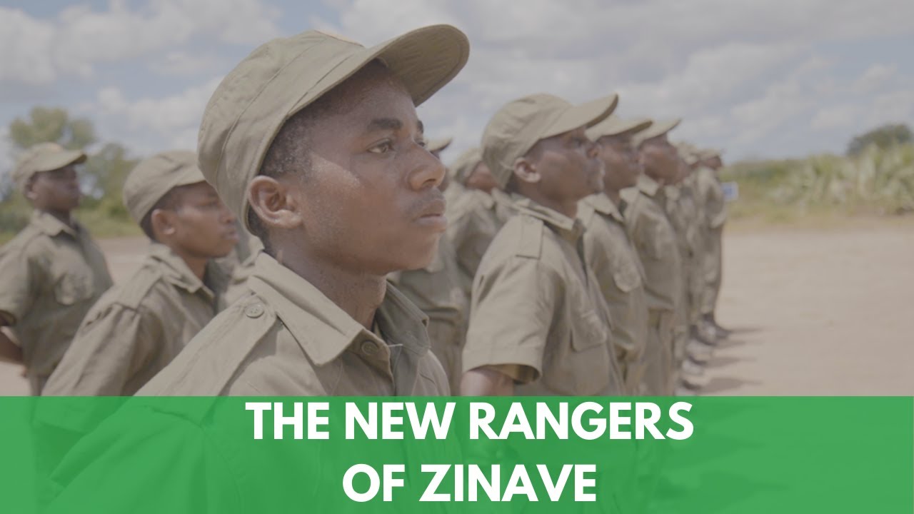 The New Rangers Of Zinave