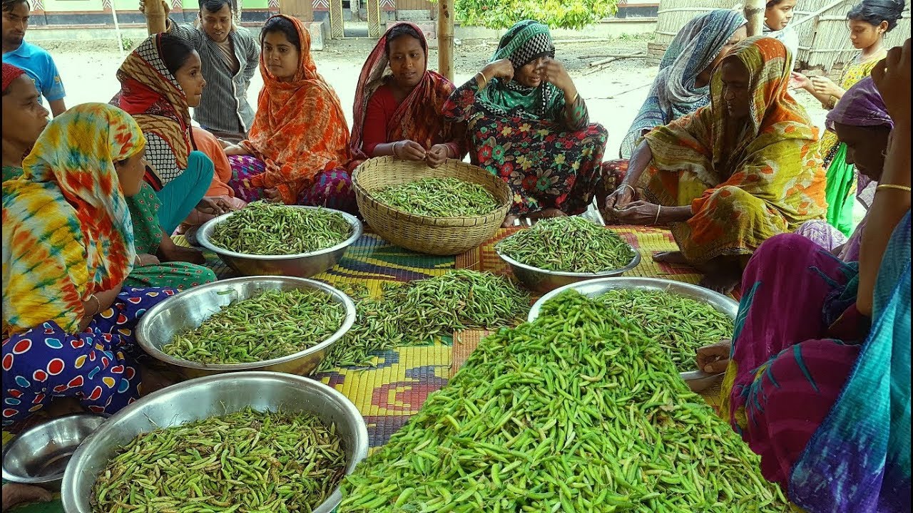 Did You Ever Try This Hodgepodge? Green Peas Tasty Hodgepodge Cooking For Whole Village People