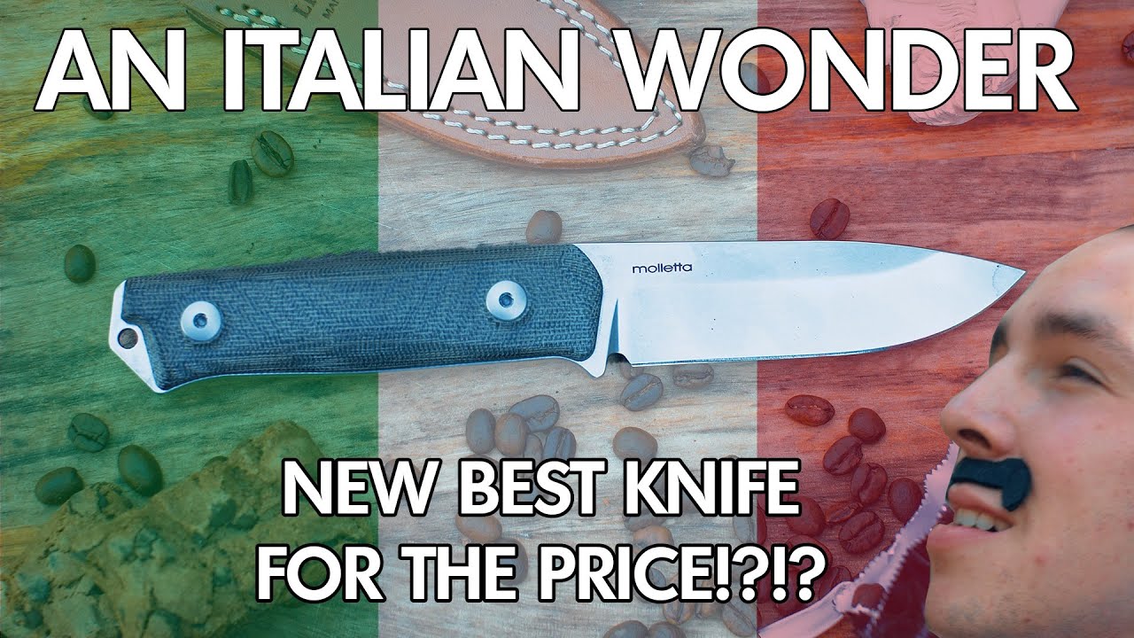 is THIS The NEW Best Knife for The Price!? | Lionsteel B41