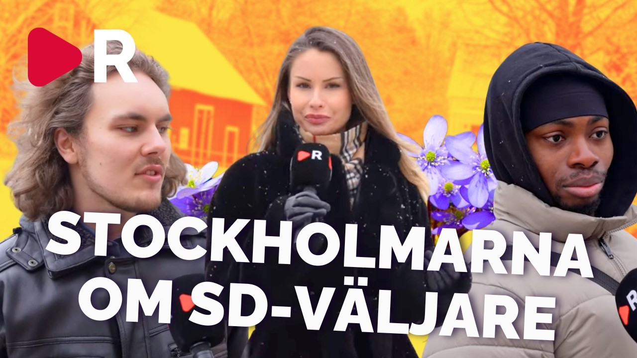 Stockholmare om varf&ouml;r landsbygden r&ouml;star SD: 