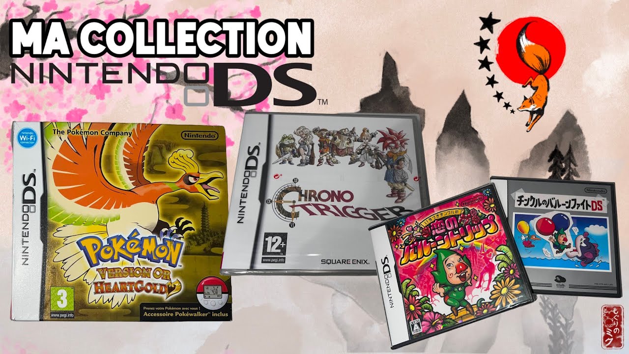 MA COLLECTION NINTENDO DS : TOUS MES JEUX (MARIO, POKÉMON, ZELDA, KIRBY, METROID…)