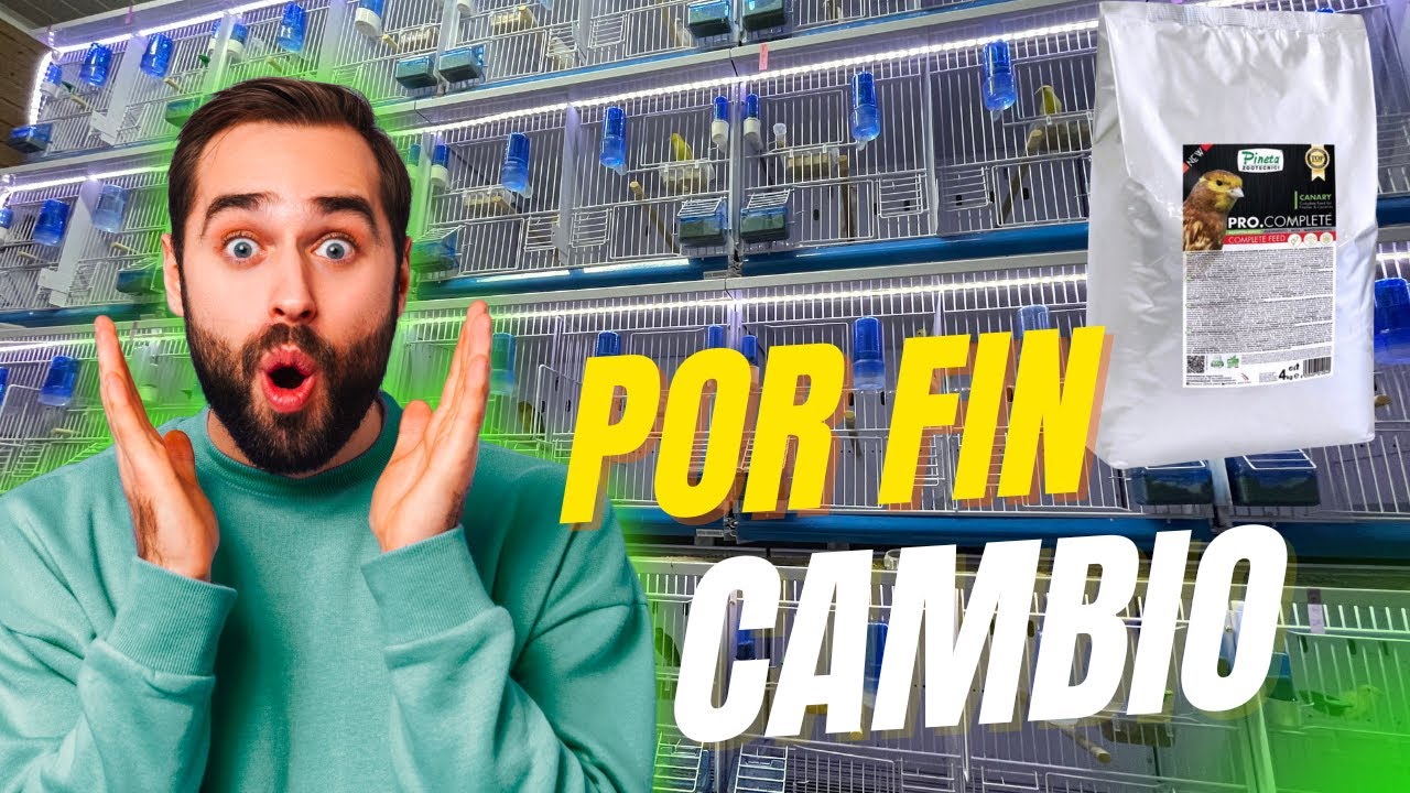 Preparación cria 2026 🐣