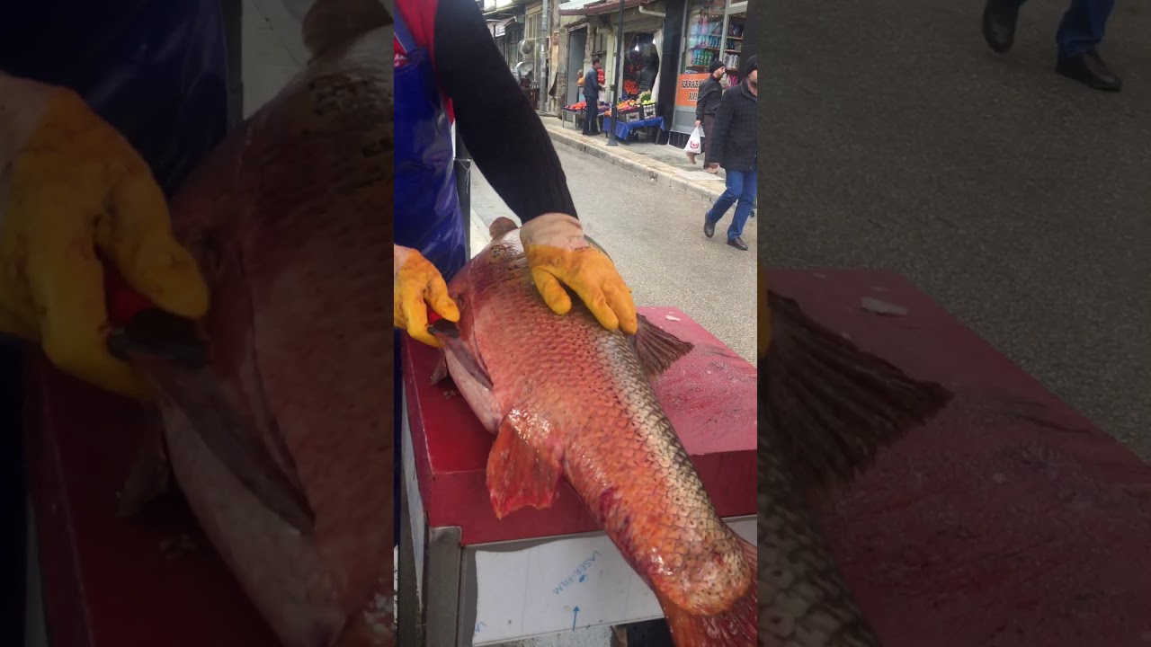 48 KİLOLUK DEV TURNA BALIĞI TEMİZLEME İŞMEMİ