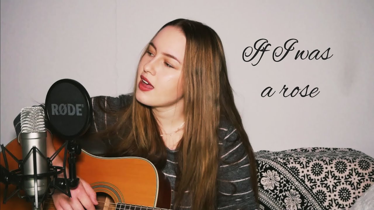 Ha én rózsa volnék - Koncz Zsuzsa cover