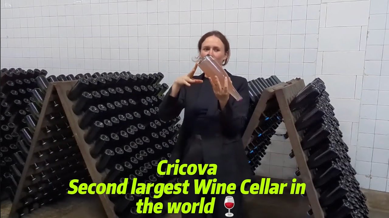Inside the second largest cellar | Cricova Chișinău 🇲🇩