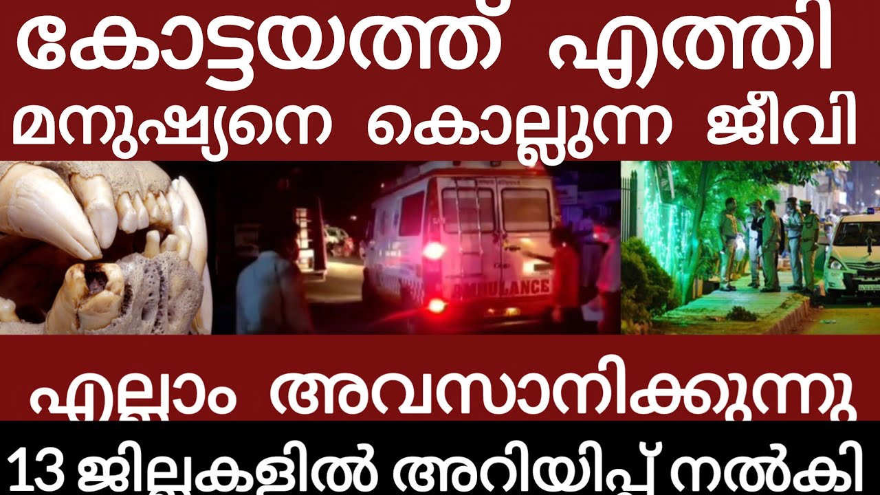 വൻ ദുരന്തം.അലറി വിളിച്ച് ജനങ്ങൾ | Breakingnews | Keralapolice |