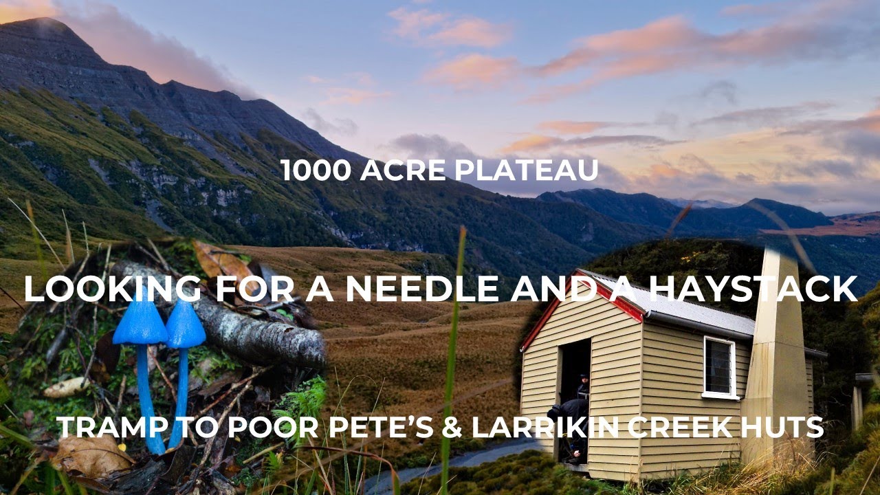 1000 Acre Plateau - Looking for a Needle and a Haystack. Tramp to Poor Pete's & Larrikin Creek Huts