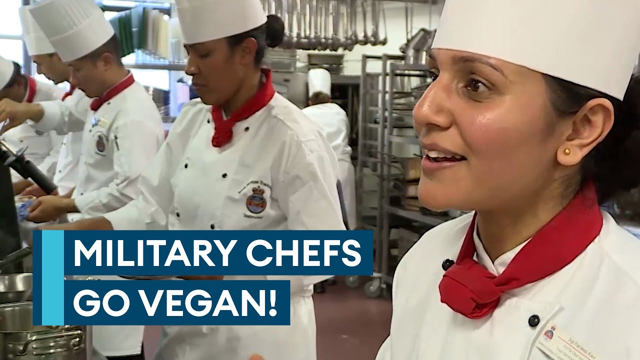 Military chefs inspired to create plant-based meals in vegan workshop