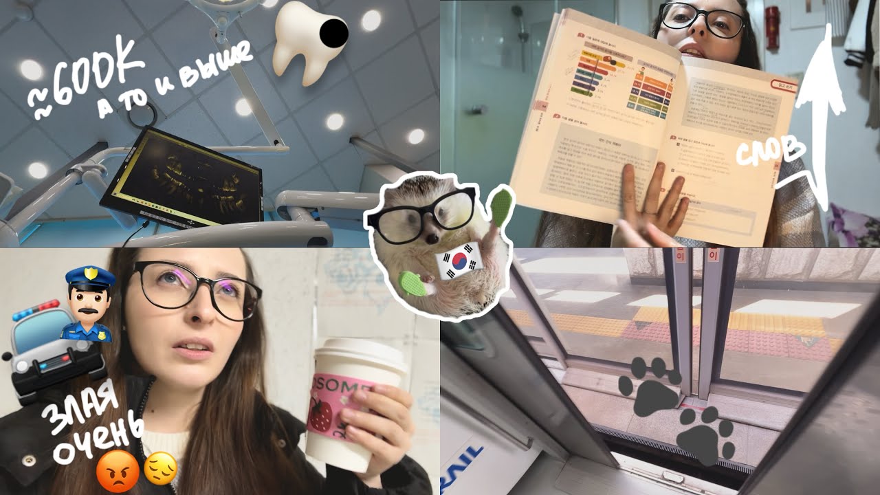 KOREA VLOG DIARY|полиция закрыла дело о краже /еду в стоматологию, в Инчхоне / цена |16-18.03.2025