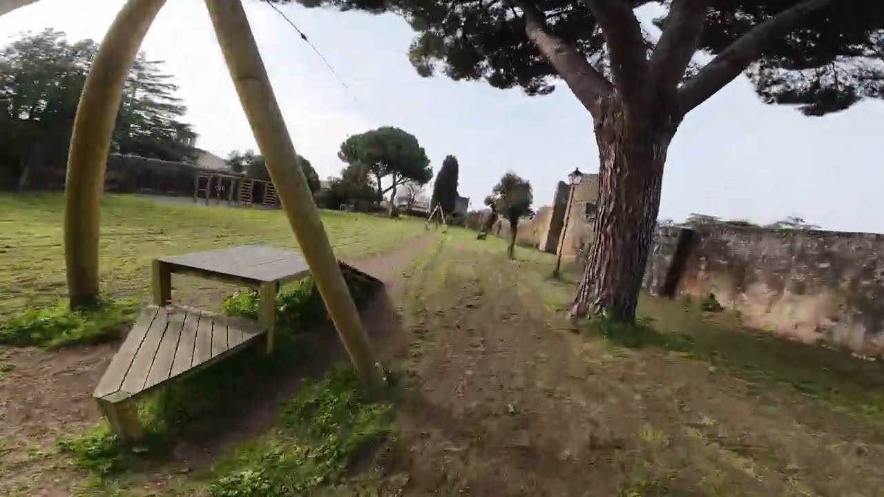 Pavo20 Pro Second time test acro mode PID
