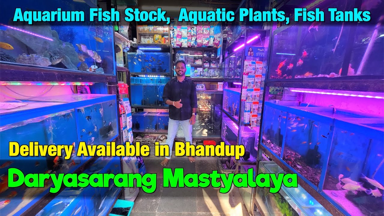 Daryasarang Mastyalaya Aquarium Store Visit I Delivery Available in Bhandup