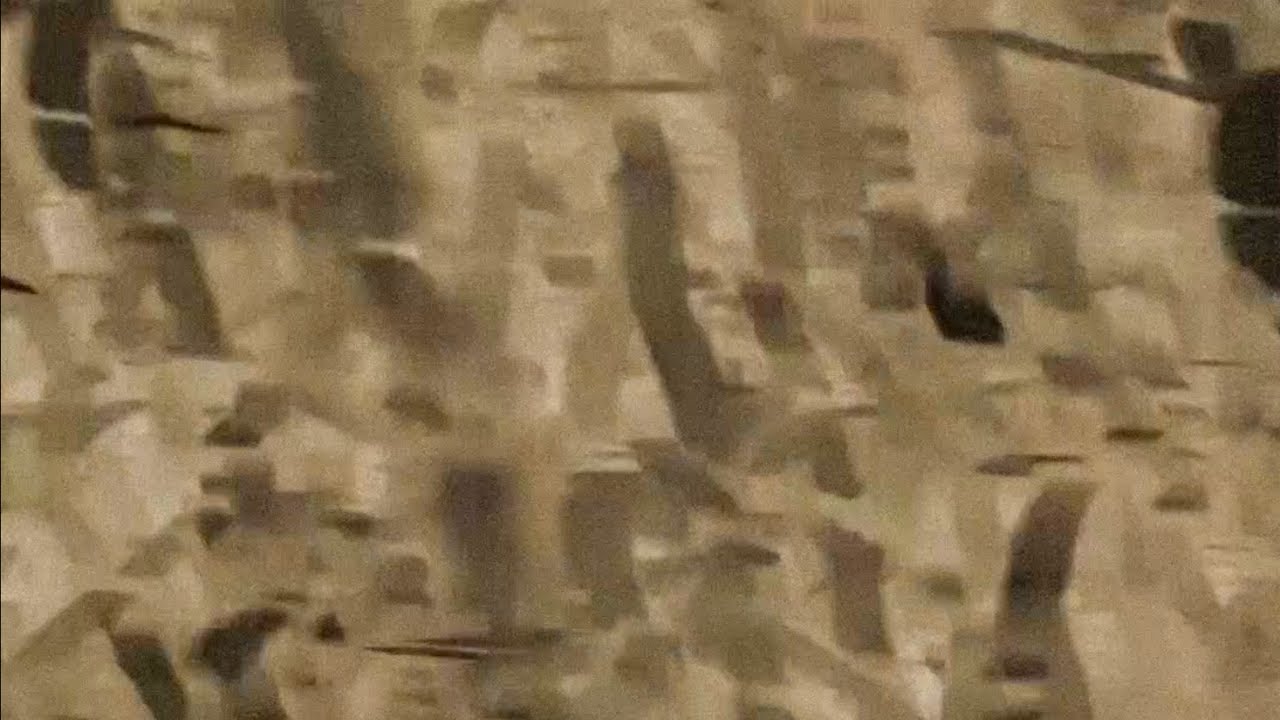 Gusik - No Right Time