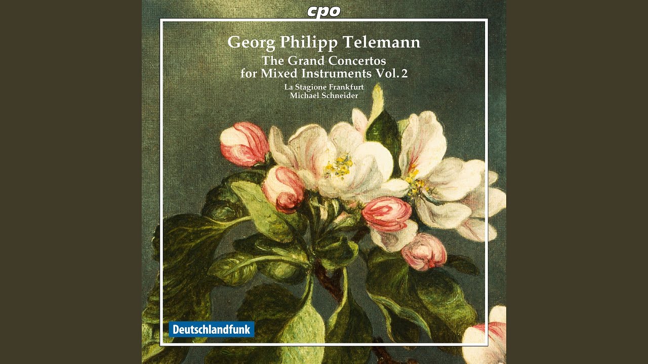 Concerto for 2 Violins & Bassoon in D Major, TWV 53:D4: II. &mdash;