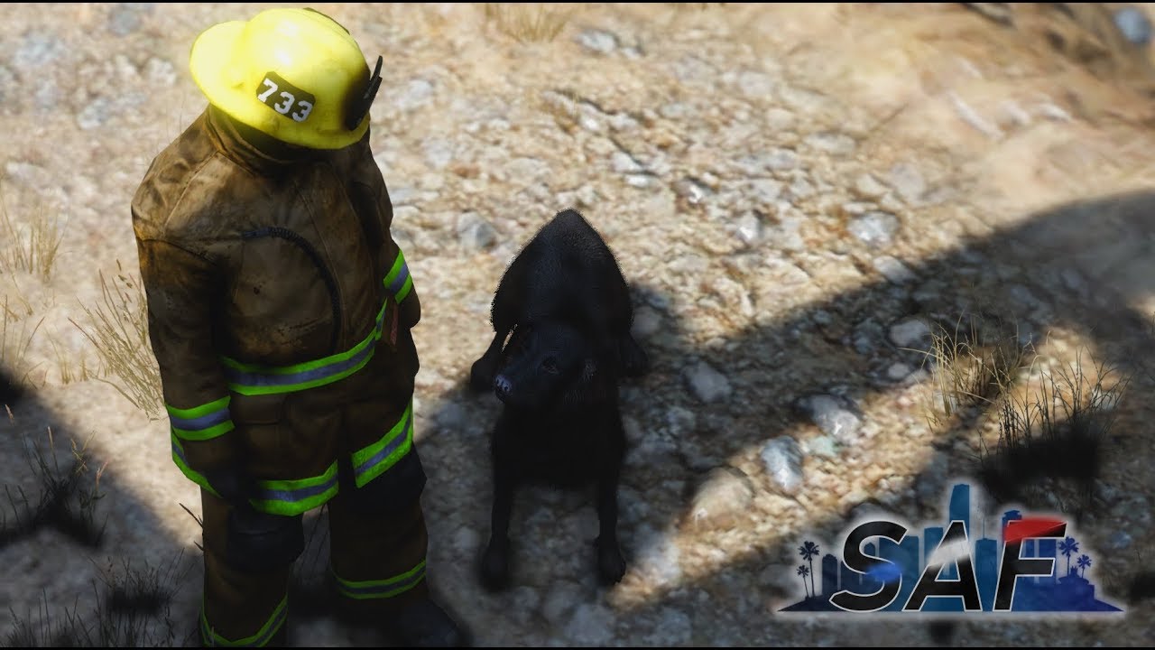 Fire Duty with Oscar the Fire Dog! - Live Stream 6/7
