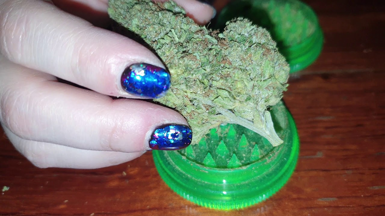 Kosher Kush from Easy Times Coffeeshop, Amsterdam 2020
