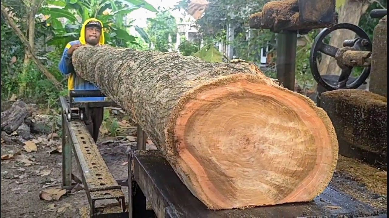 Terlalu besar untuk ukuran Gergaji kayu jati keliling - mesin bandsaw rakitan