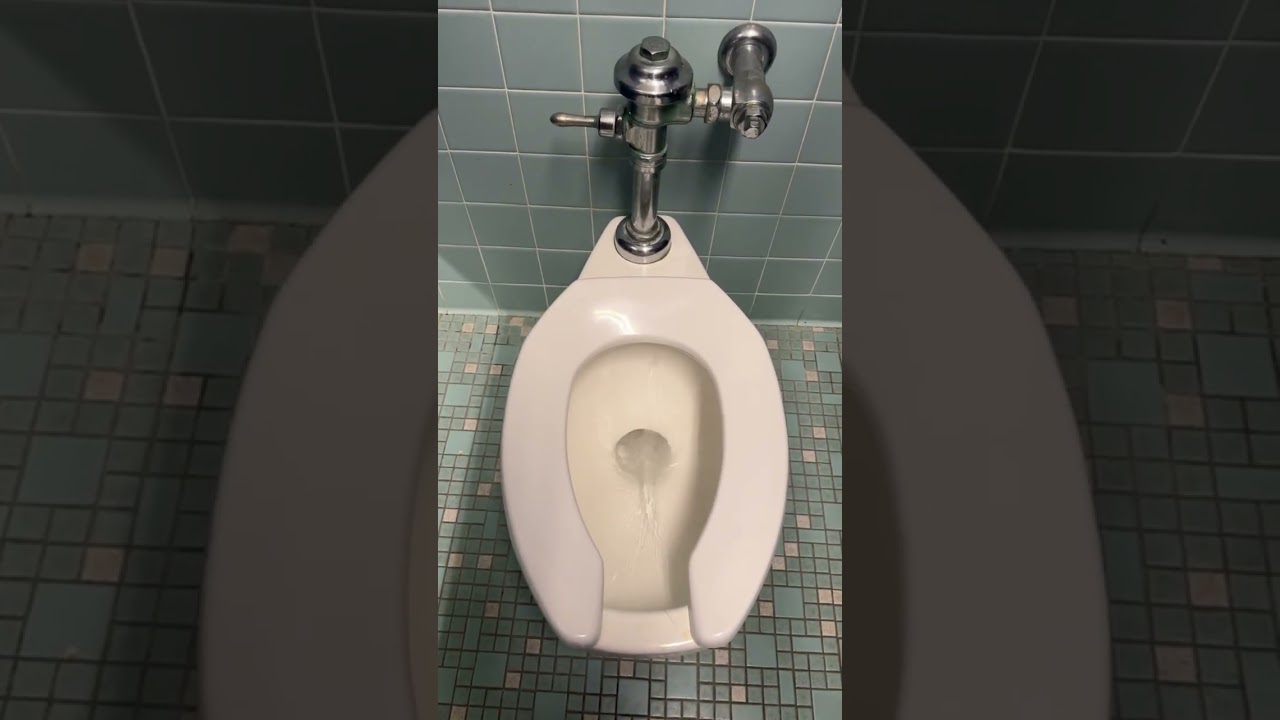 Old American Standard urinals and Standard toilets