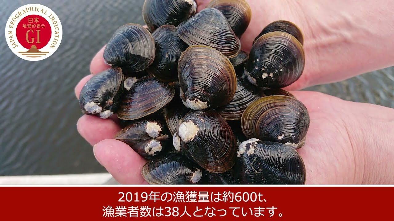 101 網走湖産しじみ貝