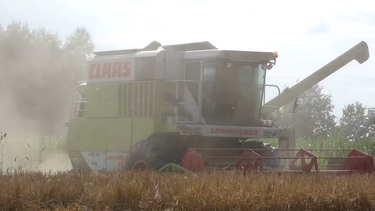 🔥Pierwsi w Okolicy🔥  ✮Koszenie Jęczmienia 2023✮Class Commandor 114cs✮GR Grabiccy✮rakuss✮