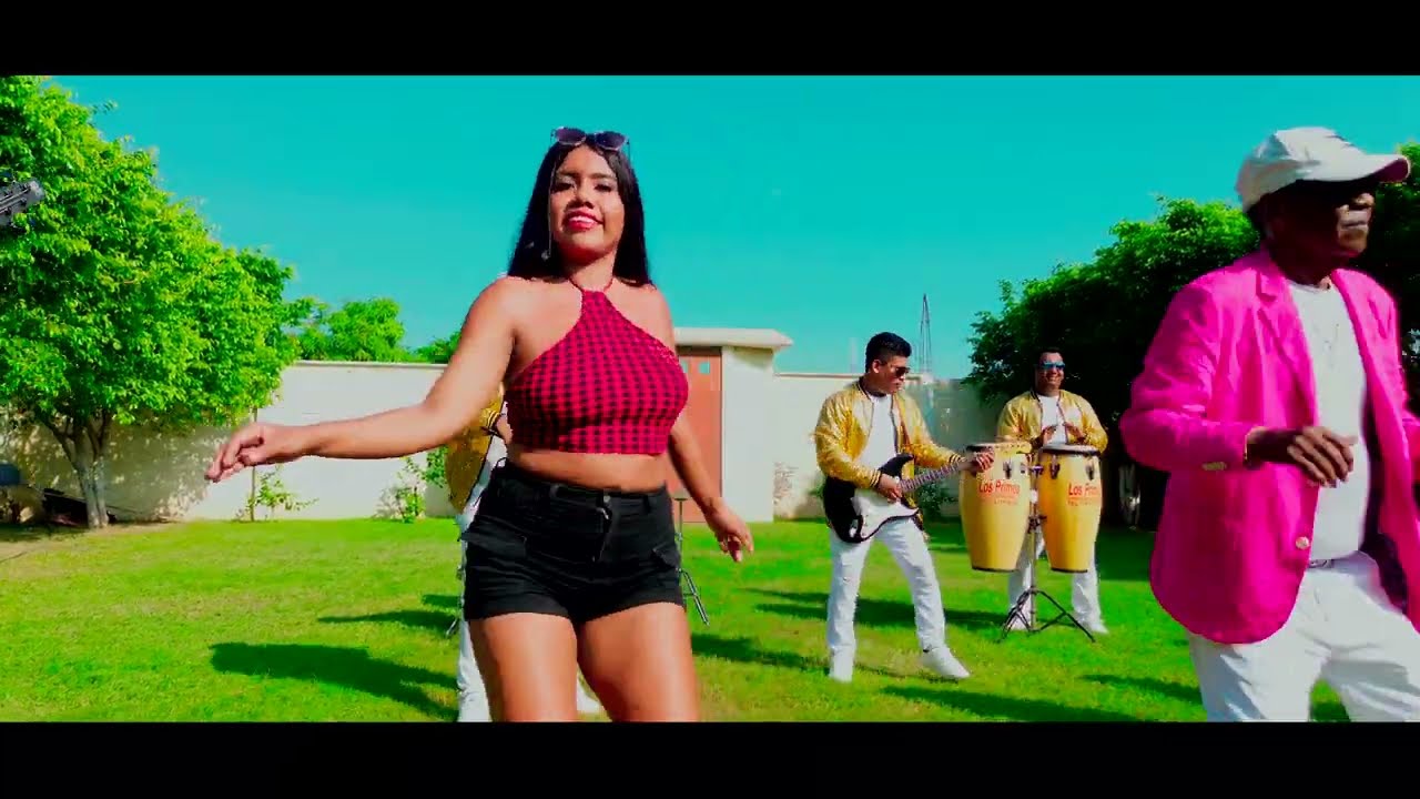 Los Primos De Huehuetán Guerrero - Huapangos (Videoclip Oficial)
