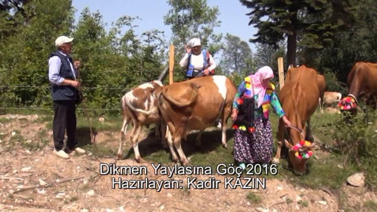 Dikmen Yaylasına Göç 2016
