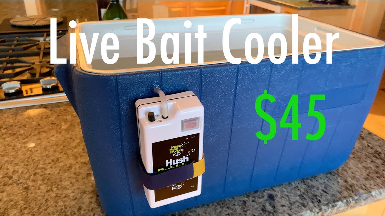 How to make a Live Bait Cooler