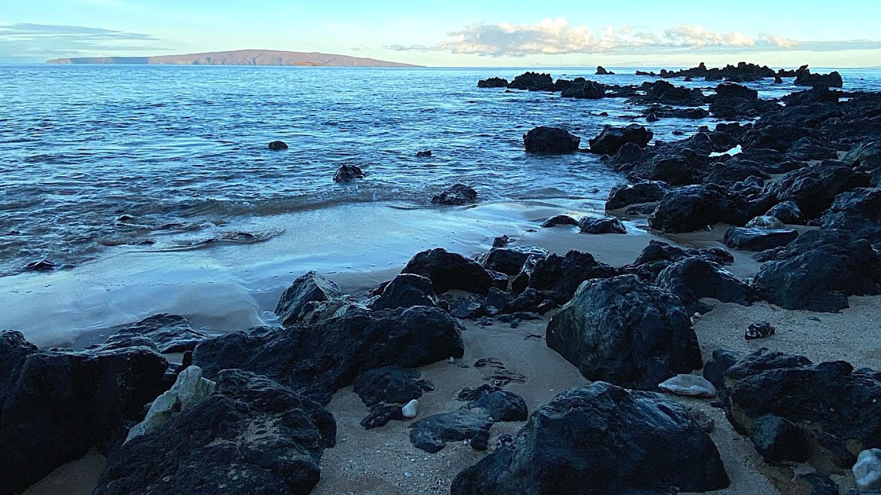 Oceanic Oasis Nature Sounds