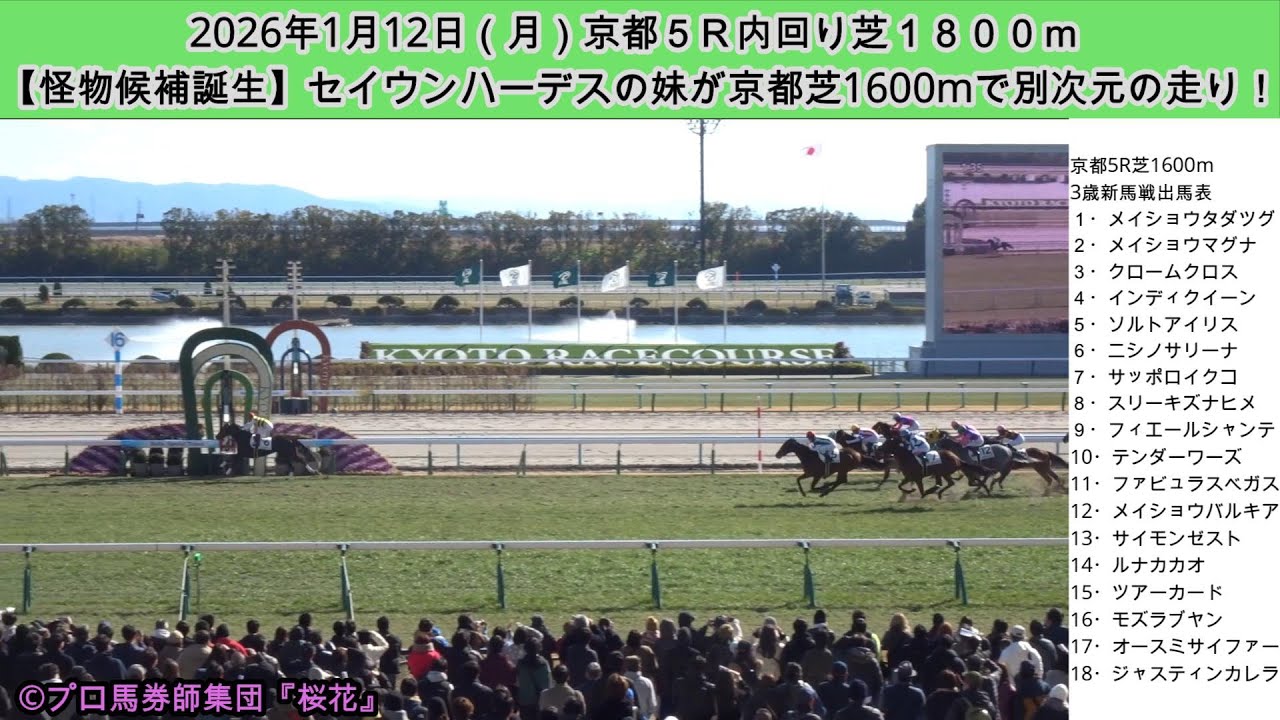 【現地映像】京都5R芝1600m｜セイウンハーデス妹ニシノサリーナが新馬戦で衝撃の圧勝！【2026年1月12日】