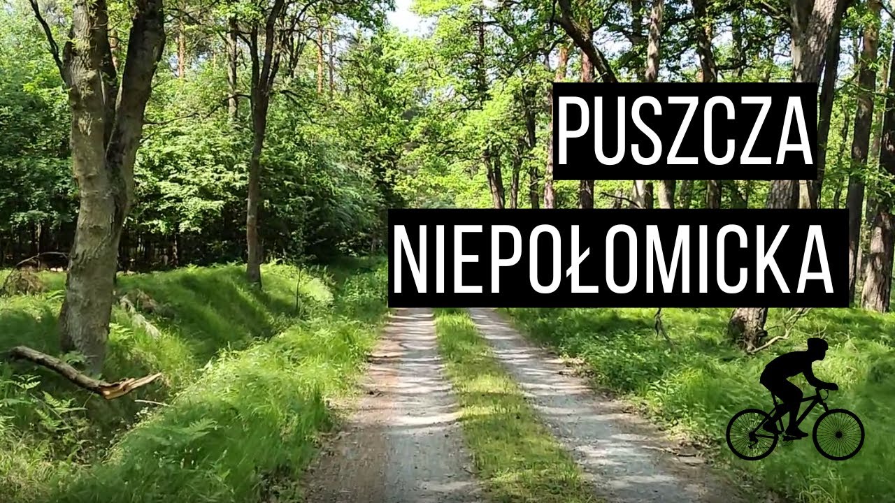 Puszcza Niepołomicka rowerem