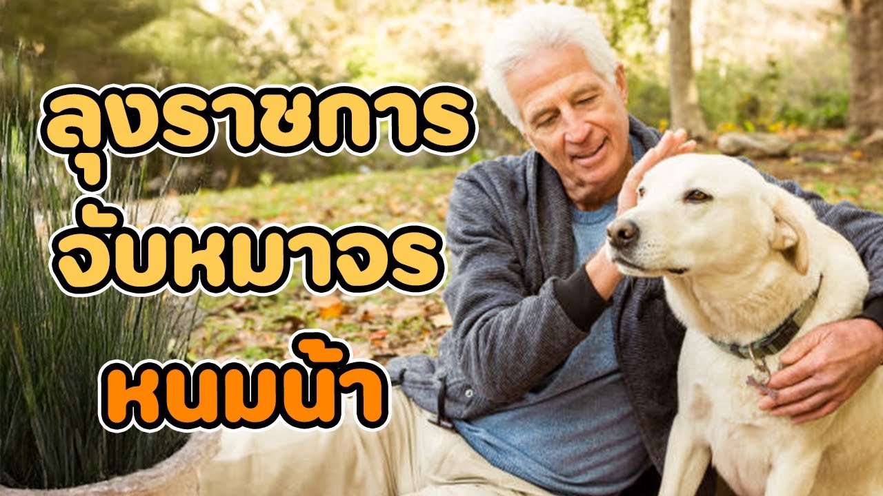รวม 5 บุคคลทำอะไรไม่ฉลาด EP.135