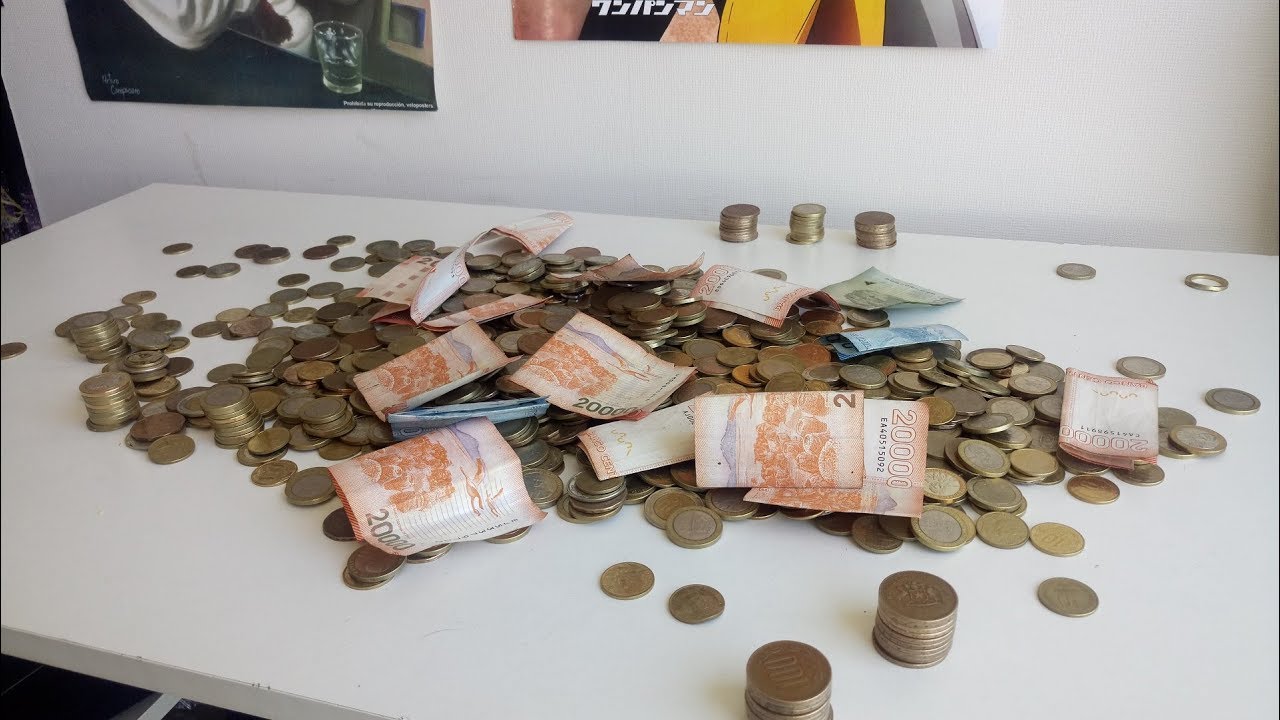 DINERO ahorrado en 6 meses