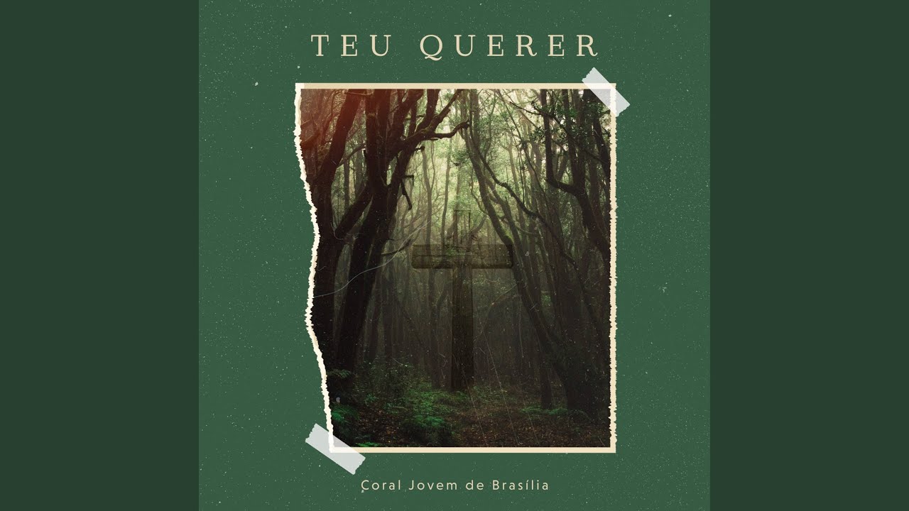 Teu Querer (Playback)