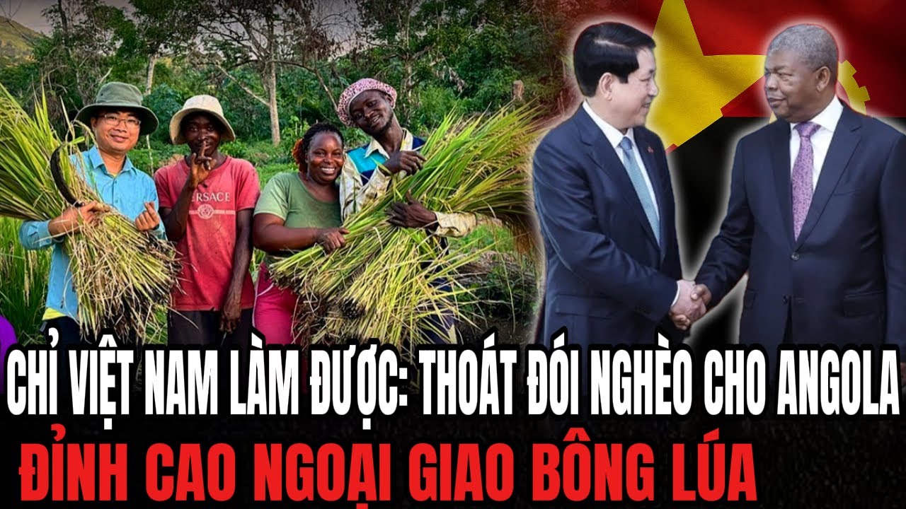 Chỉ Việt Nam Làm Được: Thoát Đói Nghèo Cho Angola - Đỉnh Cao Ngoại Giao Bông Lúa | Hiểu Rõ Hơn