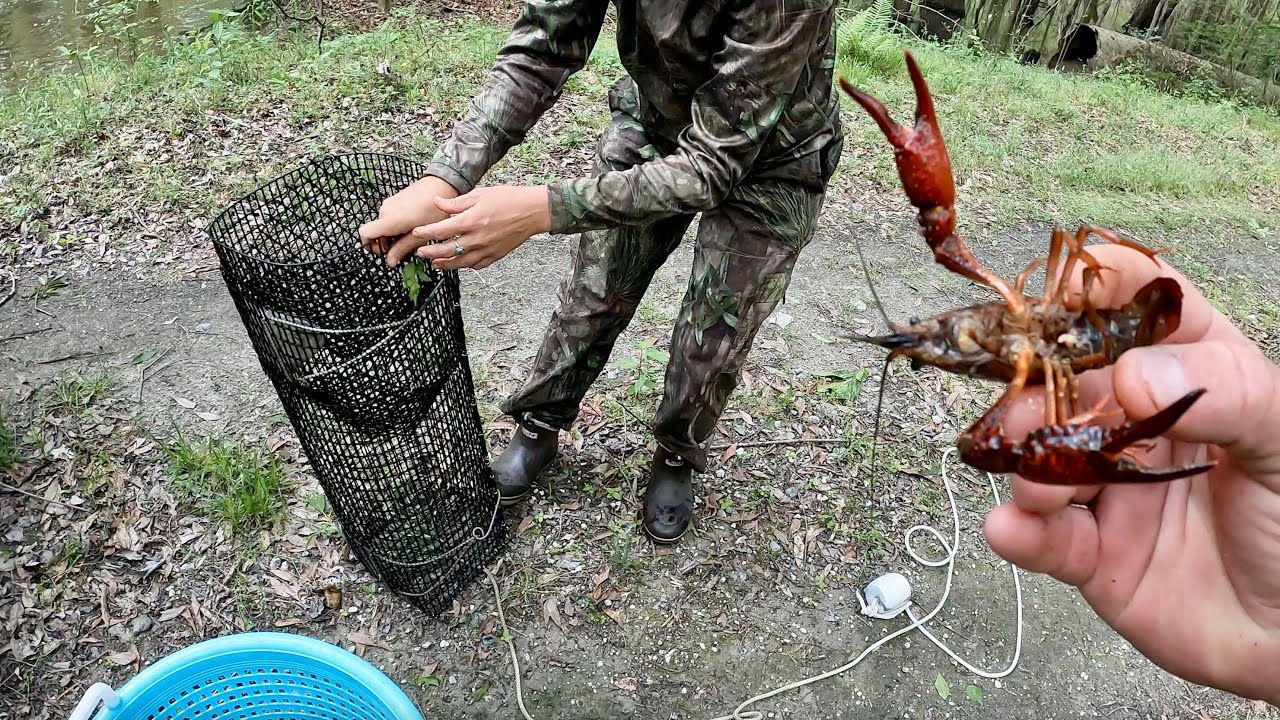 Crawfishing with Home Made Traps, Flounder and a Big Ole ShellCracker  (Catch & Cook)