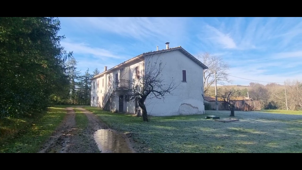 Vendita Azienda Agraria zootecnica 96 ettari di terreno agricolo con casale e capannoni